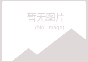 青岛黄岛从灵化学有限公司